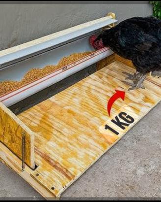 Mangiatoia automatica galline