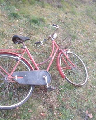 bianchi