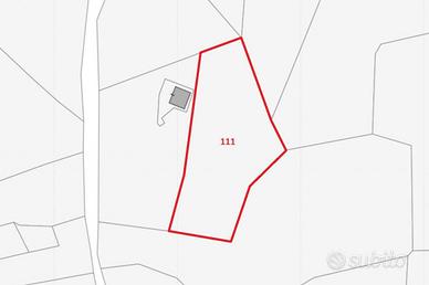 Quota 1/2 appezzamento agricolo di 3281 mq