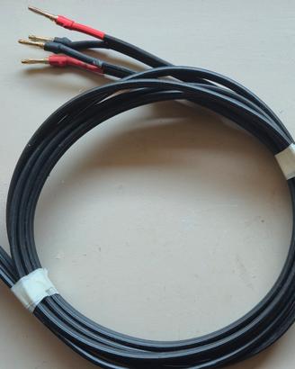 Naim Naca 4