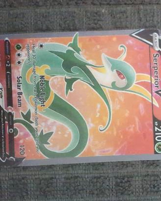 carta Pokemon 