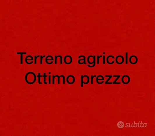 Terreno agricolo