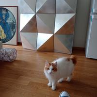 mobile di alto designer esclusivo.