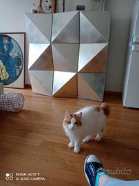 mobile di alto designer esclusivo.