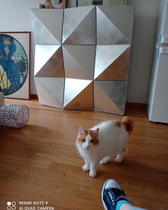 mobile di alto designer esclusivo.