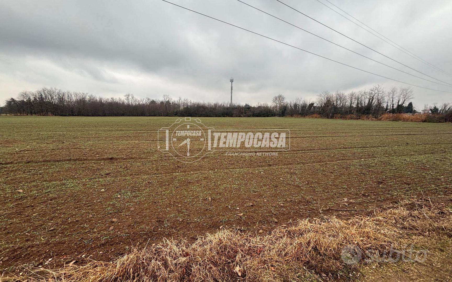 TERRENO AGRICOLO BORSANO - Vista 3