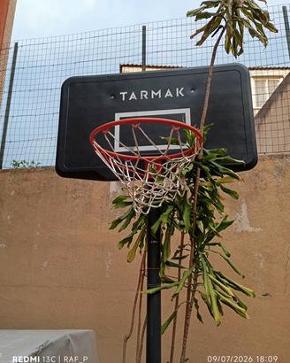 Canestro Tarmak regolabile