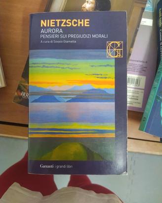 Aurora pensieri sui pregiudizi morali F. Nietzsche