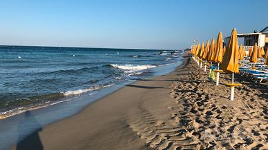 Appartamenti a piano terra Rosolina mare