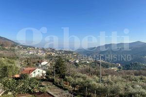 Terratetto Vado Ligure [Cod. rif C6VRG]