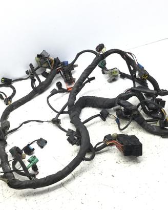 SUZUKI BURGMAN K7 650 IMPIANTO ELETTRICO CAVI MATA