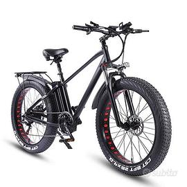 bici elettrica 750