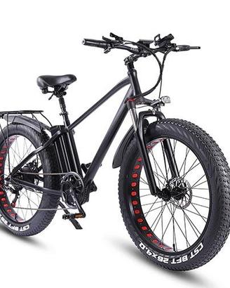 bici elettrica 750