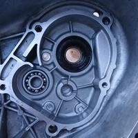 carter piaggio a liquido 