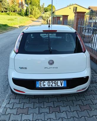 FIAT PUNTO EVO  2011 alimentazione metano
