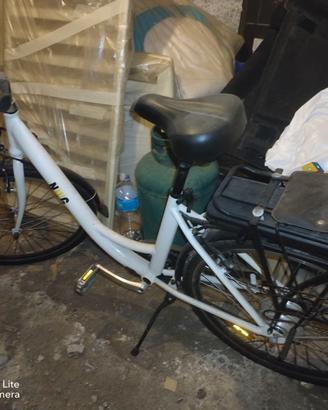 Bicicletta pedalata assistita NWG