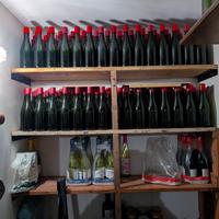 Lotto 334 Bottiglie Vetro PULITE per Lambrusco 