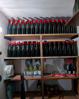 Lotto 334 Bottiglie Vetro PULITE per Lambrusco 