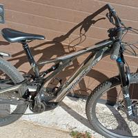 specialized turbo levo