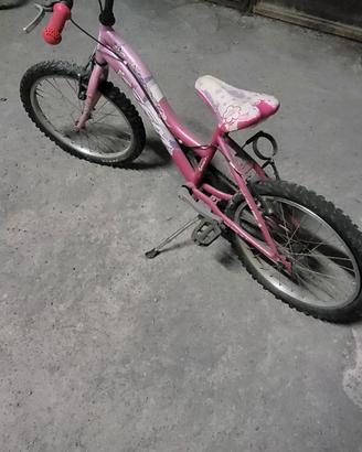 Bicicletta