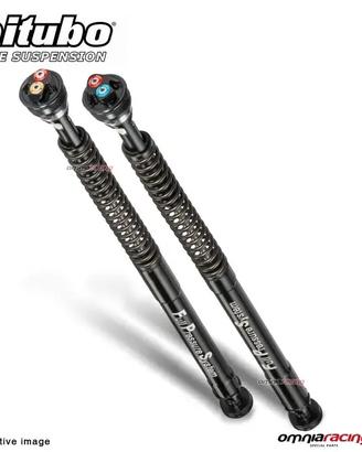 Cartuccia Bitubo pressurizzata BMW S1000RR 2009-18