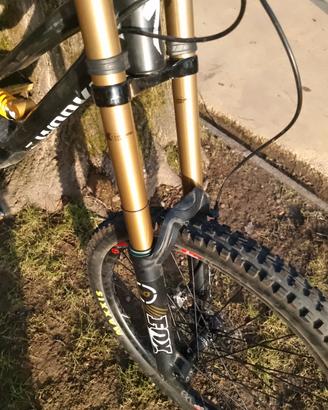 fox 40 kashima
