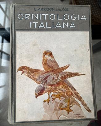 Libro Ornitologia Italiana E Arrigoni Oddi Hoepli