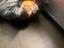 Immagine 4