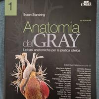 Anatomia del Gray con Atlante