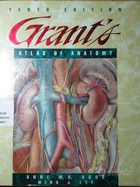 GRANT'S ATLAS OF ANATOMY (10 EDIZIONE - INGLESE)