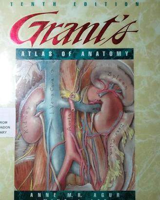 GRANT'S ATLAS OF ANATOMY (10 EDIZIONE - INGLESE)