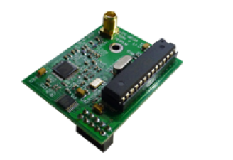 DVMEGA pi-singleband