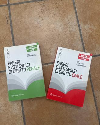 Pareri e atti svolti di diritto civile e penale