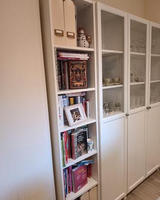Vetrina  libreria Billy ikea