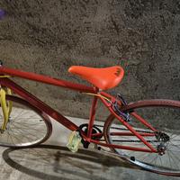 Bicicletta unisex