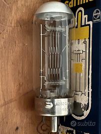 Lampadina per proiettore o altro P230DBS/01