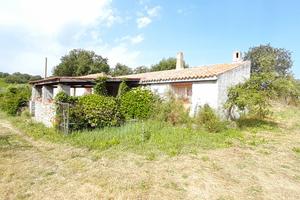 Tenuta Agricola in Località Carasuni