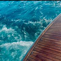 Gozzo "FARFALLA 9" cantiere izzo mare 2008