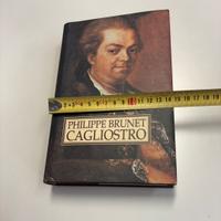 Libro Cagliostro di Philippe Brunet