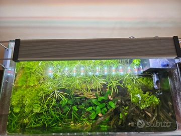 Acquario completo 42l