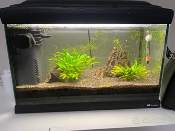 Acquario 40 litri