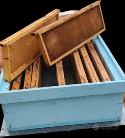 Melari misura standard completi di telaini