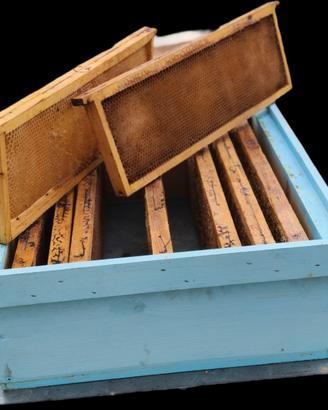 Melari misura standard completi di telaini