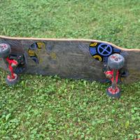 Skateboard Tony Hawk Medallion