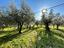 Immagine 21