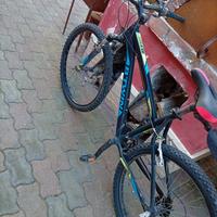 bicicletta rokraider 