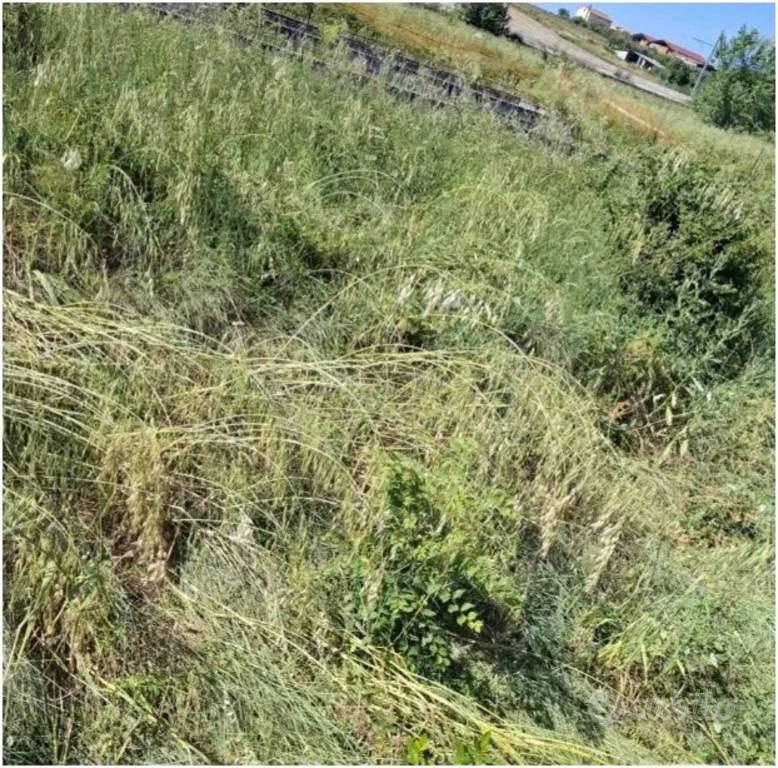 Immobile in asta di 5 m² a Morrovalle - Vista 4