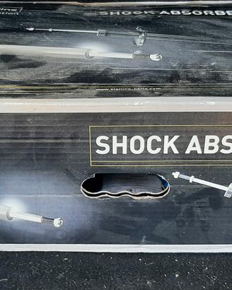 Ammortizzatori Citroen C3 PICASSO Nuovi