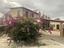 Immagine 7