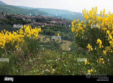Terreno soleggiato in posizione dominante